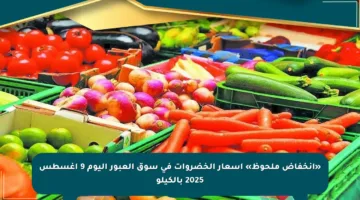 «انخفاض ملحوظ» أسعار الخضروات في سوق العبور اليوم 9 أغسطس 2025 بالكيلو